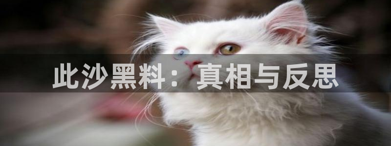 知名名人丑闻新瓜曝光